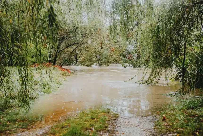 A flooded forest path with lush greenery and overhanging willow trees after heavy rainfall.