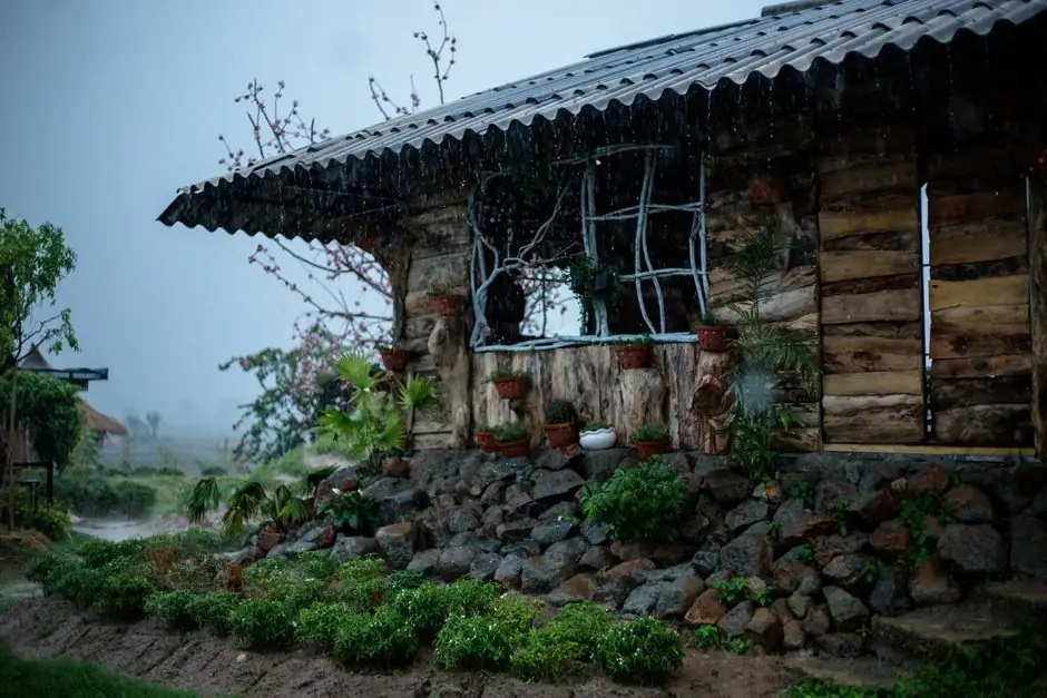 A rustic wooden cabin surrounded by lush plants, captured during a rainy day in a tropical setting.