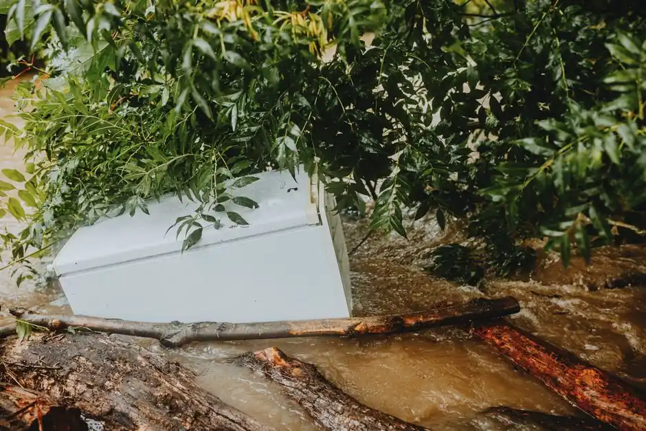 Our Expertise in Crawl Space Cleanup